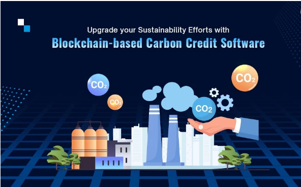 Zimbabwe Launches Blockchain-Based Carbon Credit Registry to Boost Transparency